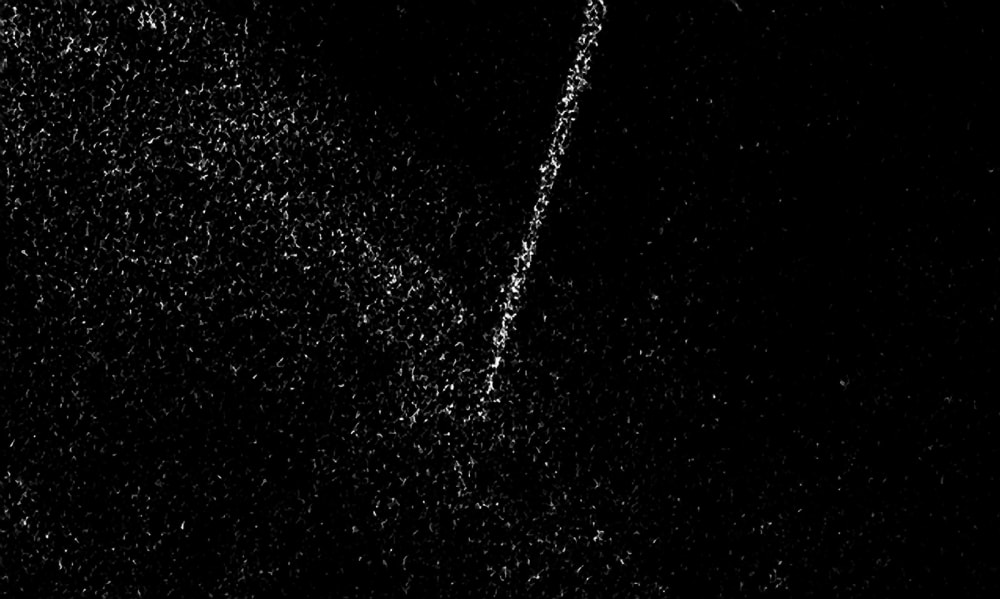 Henry Landers Kunst Serie Titel - Transit